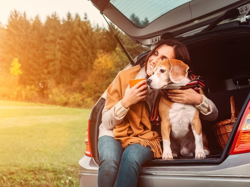 Woman with dog sits in car trunk on autumn road
