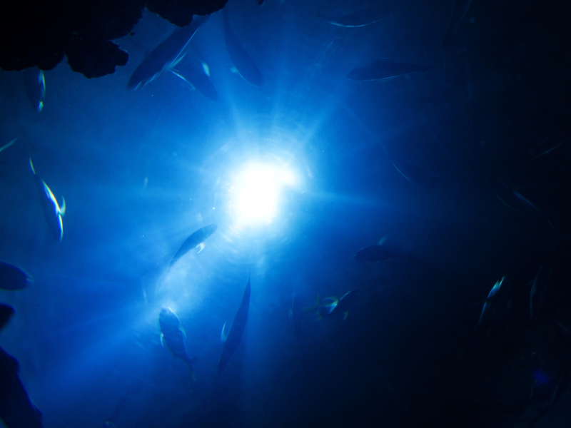 AOM Underwater